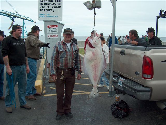 Halibut